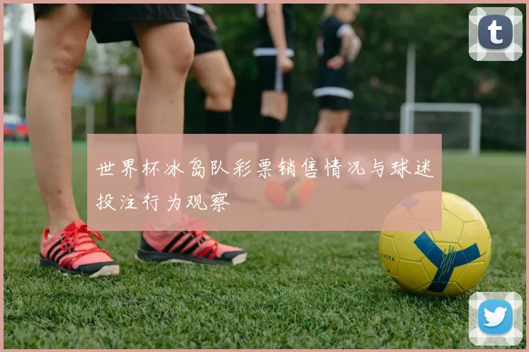 世界杯冰岛队彩票销售情况与球迷投注行为观察