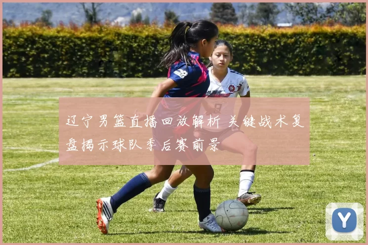 辽宁男篮直播回放解析 关键战术复盘揭示球队季后赛前景