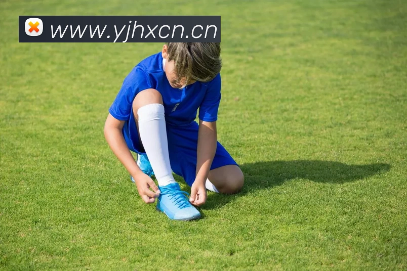 半岛网页版·网站入口 - 半岛online(中国)发展历程